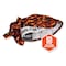 Ergodyne Chill-Its 6615 High-Performance Bandana Doo Rag w/Terry Cloth Sweatband, One Size Fits Most, Flames 12485 - alternate 3